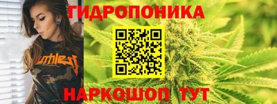круглые Лесосибирск