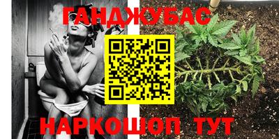 прущие грибы Ликино-Дулёво