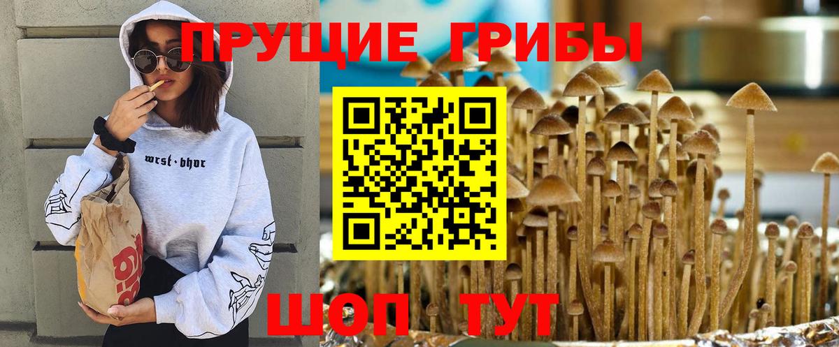 Галлюциногенные грибы Magic Shrooms  закладки  Кандалакша  Вход с VPN 