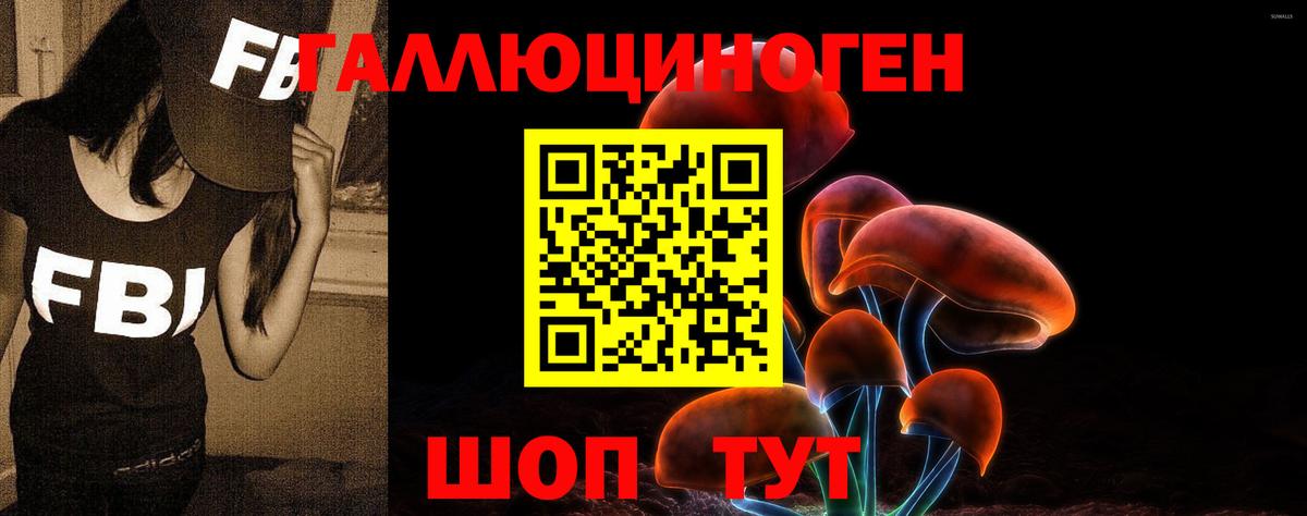 Псилоцибиновые грибы MAGIC MUSHROOMS Кандалакша